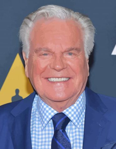 Robert Wagner Movie Star Paint By Numbers