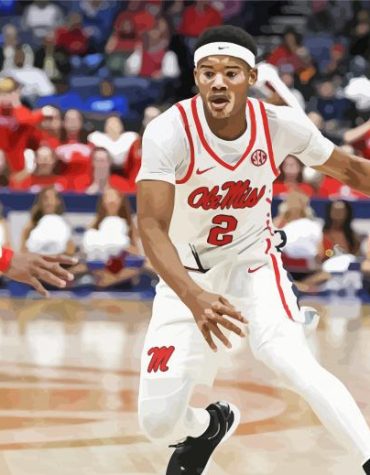 Ole Miss Basketball Stars Paint By Numbers