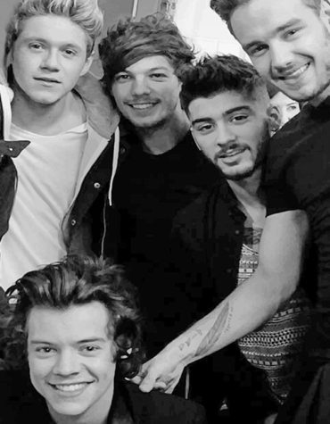 One Direction Celebrity Singers Paint By Numbers