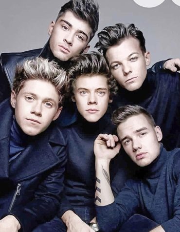 One Direction Celebrities Paint By Numbers