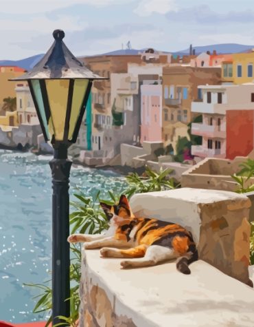 Greek Cats Orange and Black Paint By Numbers