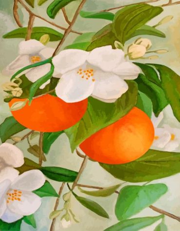 Orange Blossom Delight Paint By Numbers