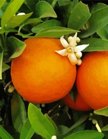 Orange Blossom Tree Scene Paint By Numbers