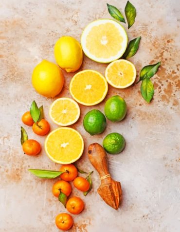 Fresh Citrus Orange Paint By Numbers