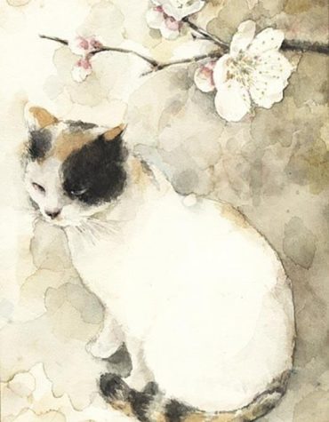 Oriental Cat Picture Paint By Numbers