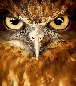 Majestic Owl Paint By Numbers