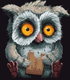 Owl Biscuit Delight Paint By Numbers