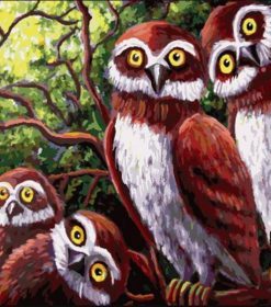 Owl Family Birds Paint By Numbers
