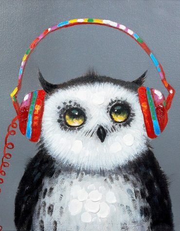 Owl Music Lovers Paint By Numbers
