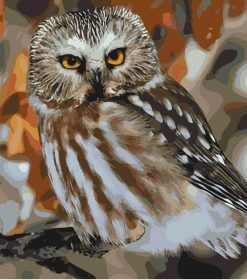 Owl Wildlife Paint By Numbers
