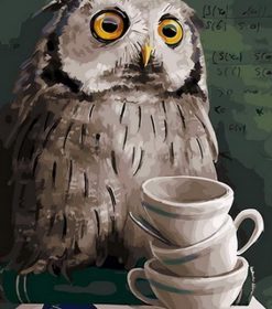 Owl Study Evening Paint By Numbers