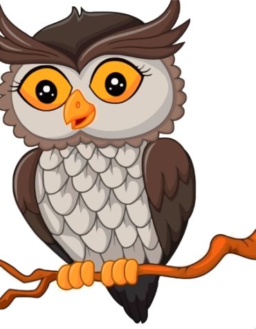 Easy Owl Bird Paint By Numbers