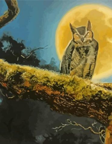 Owl Moon Nightscape Paint By Numbers