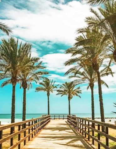 Ocean Palms Seascape Paint By Numbers