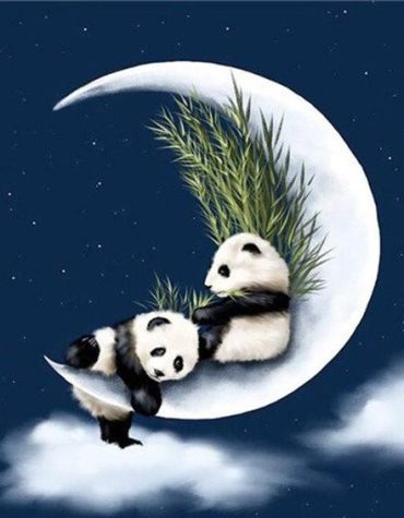 Panda and Crescent Moon Paint By Numbers
