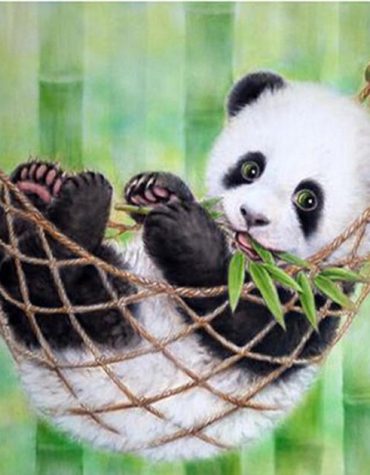 Panda Relaxation Setting Paint By Numbers