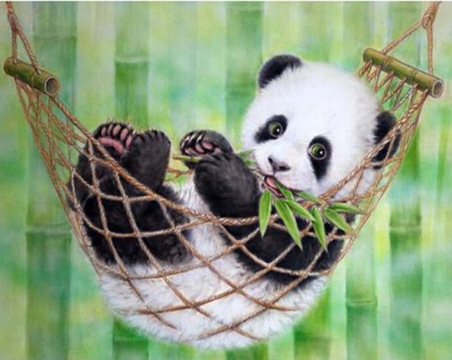 Panda Relaxation Setting Paint By Numbers