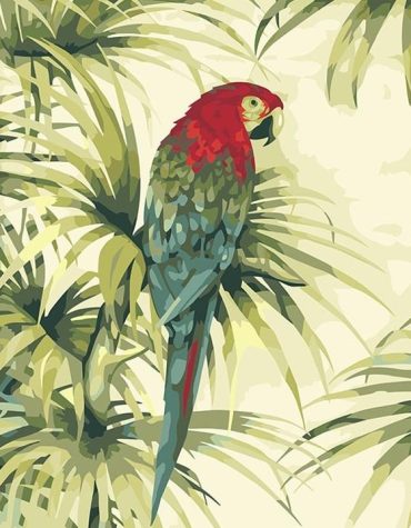 Red Head Parrot Art Paint By Numbers