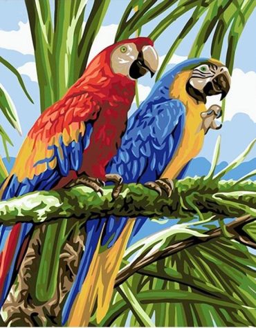 Colorful Parrots Paint By Numbers