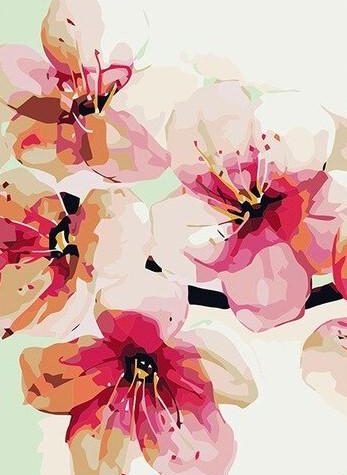 Pink Flower Blossoms Paint By Numbers