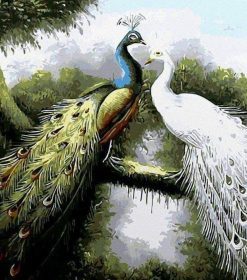 Majestic Peacock Pair Paint By Numbers