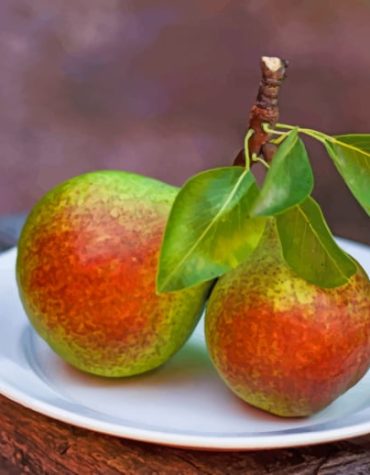 Pear with Green Leaves Paint By Numbers