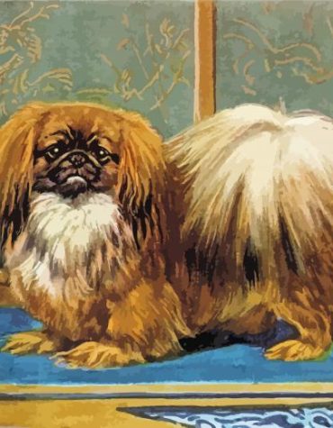 Vintage Pekingese Dog Paint By Numbers