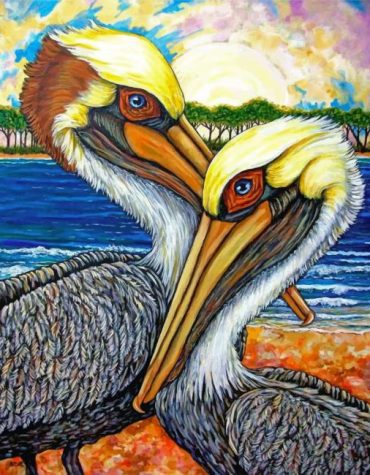 Pelican Paint By Numbers