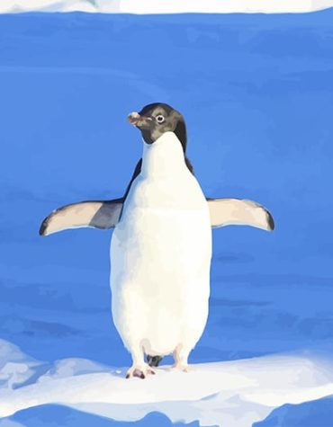 Funny Penguin Snowy Paint By Numbers