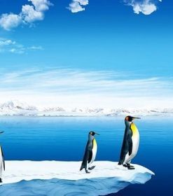 North Pole Penguin Snow Paint By Numbers