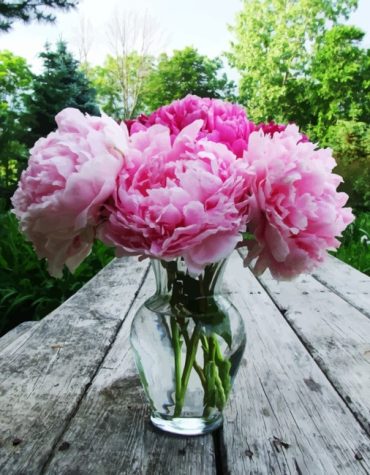 Pink Peonies Glass Paint By Numbers