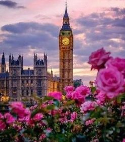 London Cityscape Peonies Paint By Numbers