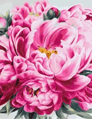 Peony Pink Flower Paint By Numbers