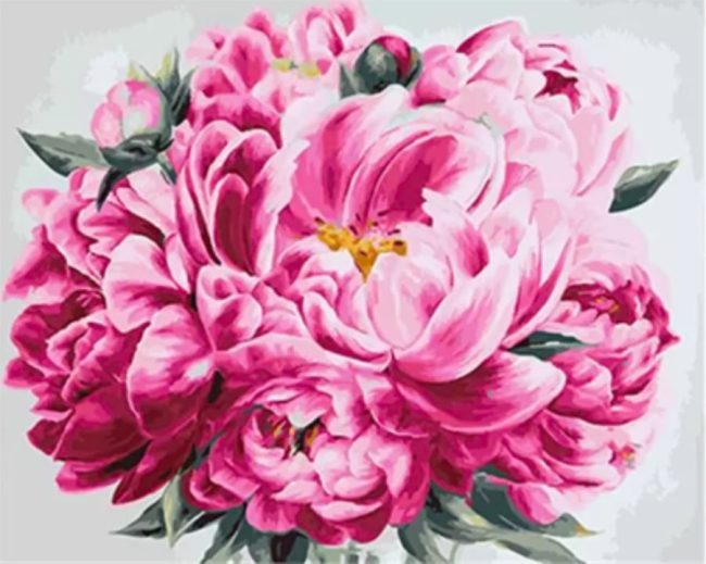 Peony Pink Flower Paint By Numbers