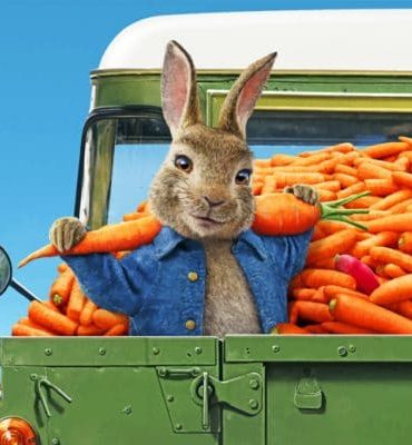 Peter Rabbit Adventure Paint By Numbers