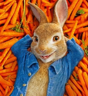 Peter Rabbit and Carrots Paint By Numbers