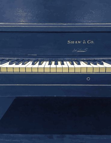 Piano Shaw and Co Instrument Paint By Numbers