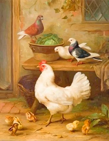 Pigeon and Chicken Wildlife Paint By Numbers