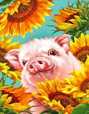 Sunflower Pig Paint By Numbers