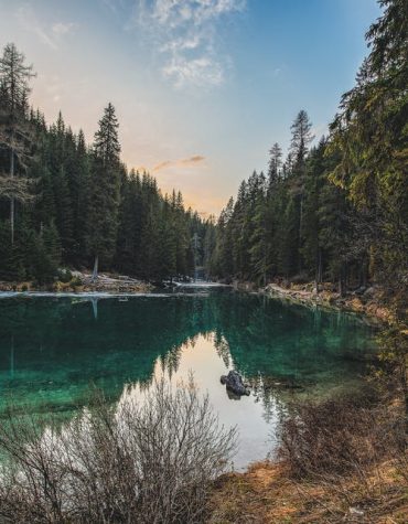 Pine Forest Serenity Lake Paint By Numbers