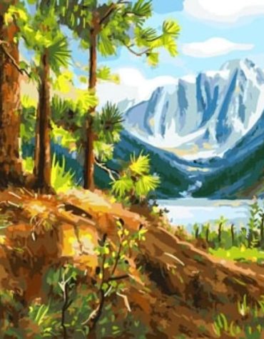 Pine Mountain Hill Scenic Paint By Numbers