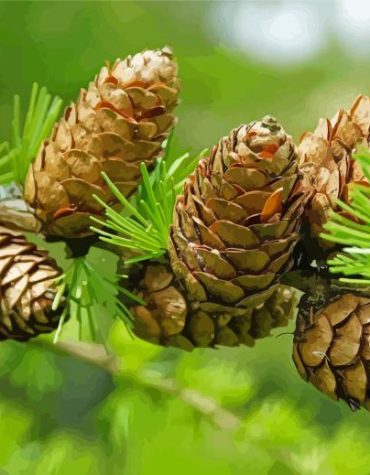 Pinecone Branch Paint By Numbers