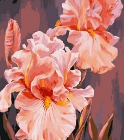 Pink Flower Artistry Paint By Numbers