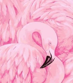 Pink Flamingo Birds Paint By Numbers