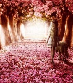 Pink Woodland Path Paint By Numbers