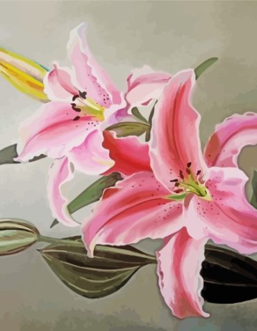 Pink Lilies Blooming Paint By Numbers