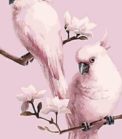 Pink Parrot Bird Paint By Numbers