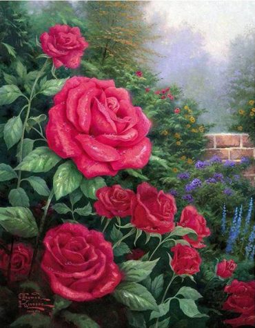 Pink Rose Bloom Paint By Numbers