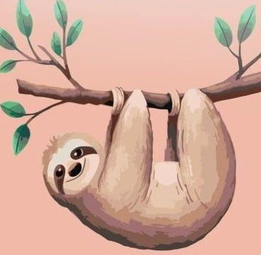 Pink Sloth Animal Paint By Numbers