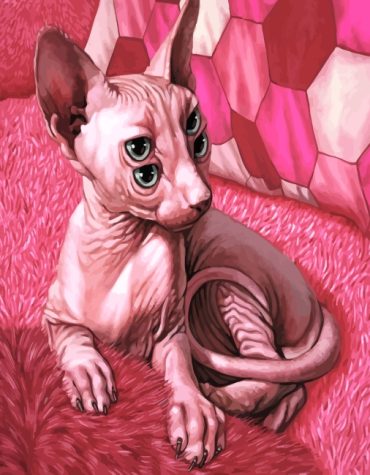 Pink Cat Sphinx Paint By Numbers